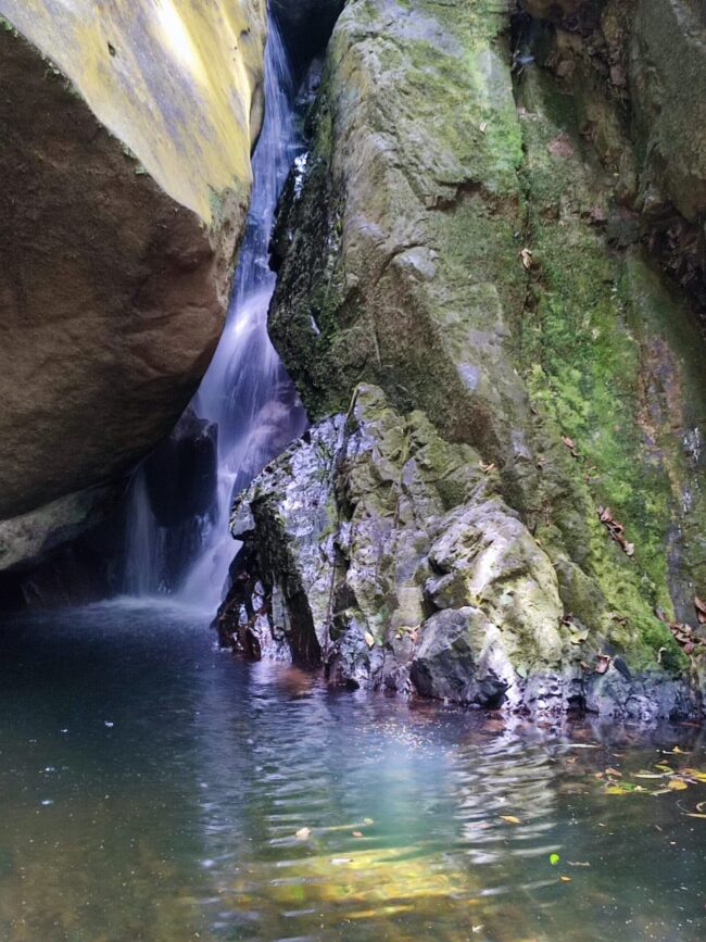 Chorrera La Monja Pance