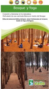 Bosque de Pino y Yoga